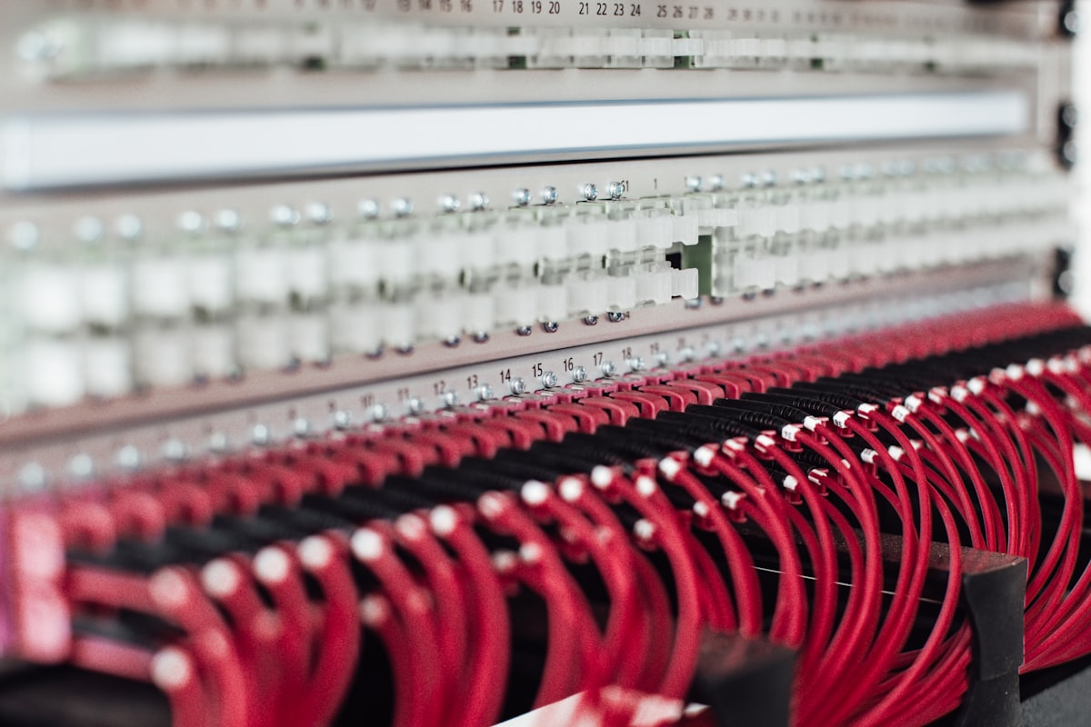 Organized network patch panel